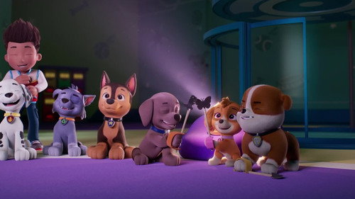 Pups Save the Big Nightlight still