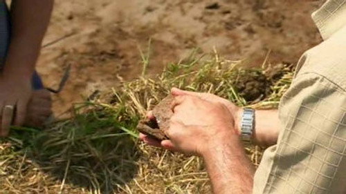 Time Team Season 14 Episode 6 - A Port and Stilton - Stilton, Cambridgeshire