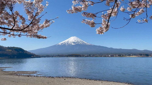 Seasoning the Seasons Season 13 Episode 4 - Fuji Five Lakes: The Water of Life