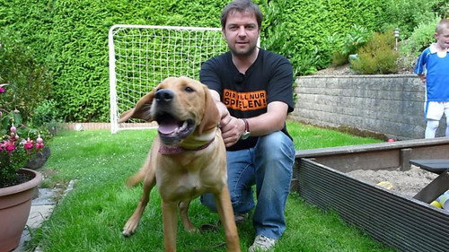 Der Hundeprofi Season 8 Episode 7 - Episode 7