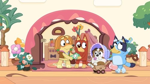 Bluey Season 1 Episode 41 - Mums and Dads