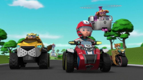 PAW Patrol Season 9 Episode 17 - Cat Pack: Saving the Safe