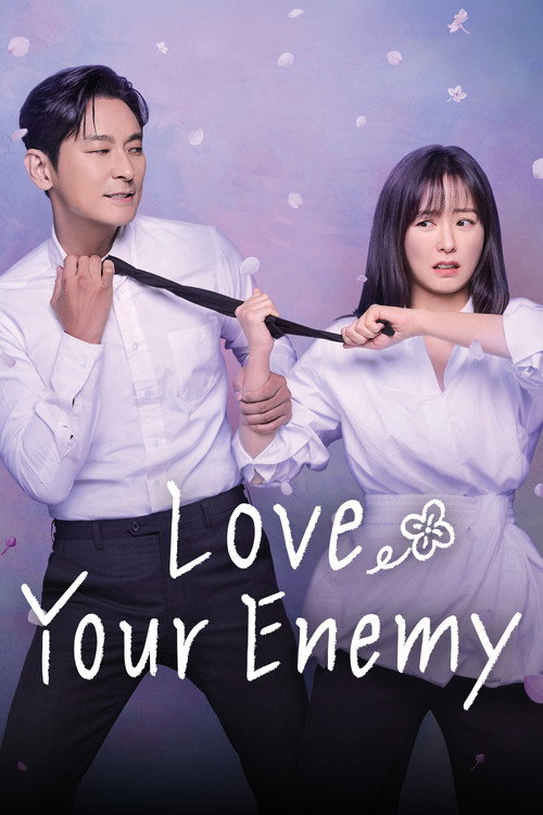 Love Your Enemy poster