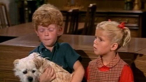 undefined Season 2 Episode 15 - Best of Breed
