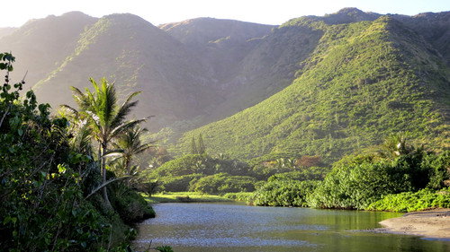 Anthony Bourdain: Parts Unknown Season 5 Episode 7 - Hawaii