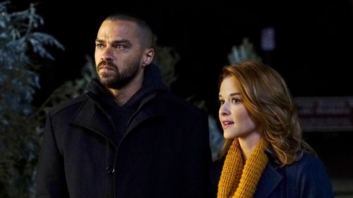 Grey's Anatomy Season 13 Episode 16 - Who Is He (And What Is He to You)?