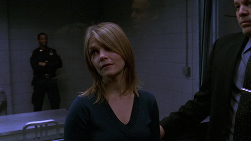 Law & Order: Criminal Intent Season 5 Episode 13 - Proud Flesh