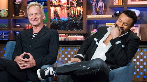 Sting; Shaggy still