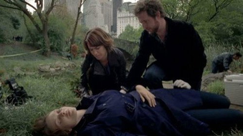CSI: NY Season 8 Episode 9 - Means To An End