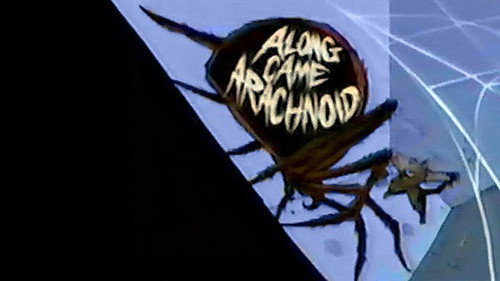 Mighty Max Season 2 Episode 8 - Along Came Arachnoid
