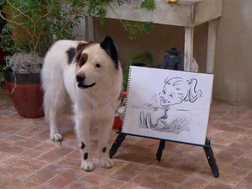 Dog with a Blog Season 2 Episode 15 - Who's Training Who?