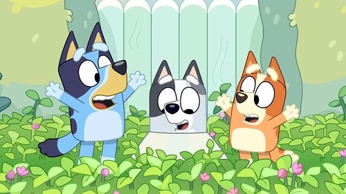 Bluey Season 2 Episode 43 - Muffin Cone