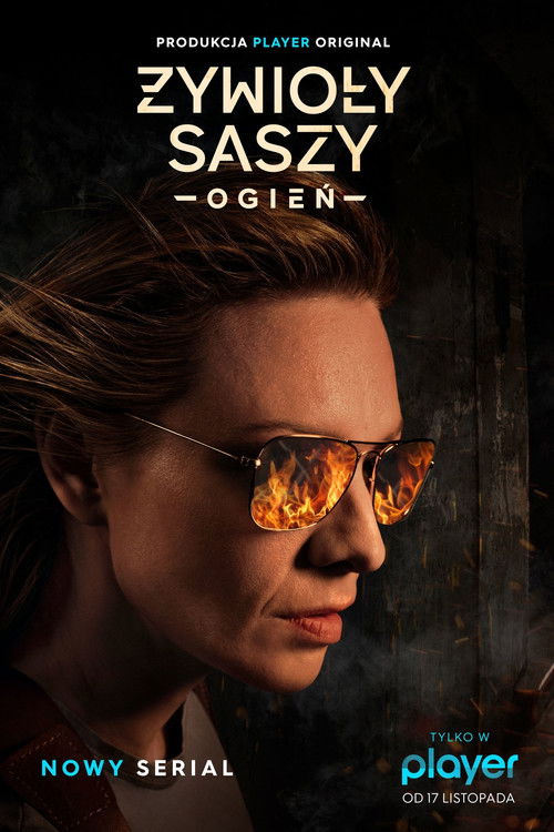The Elements of Sasza poster