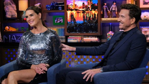 Brooke Shields & Dylan McDermott still
