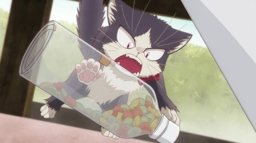 My Roommate is a Cat Season 1 Episode 5 - What I Want to Tell You