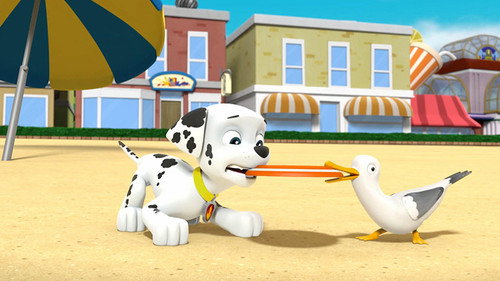 PAW Patrol Season 3 Episode 41 - Pups Save a Plane