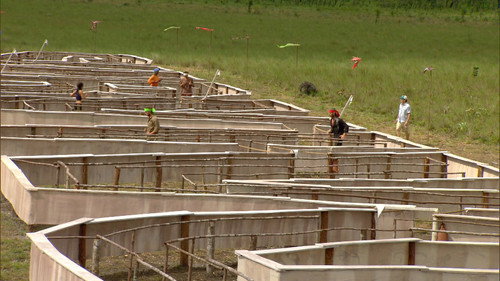 Survivor Season 18 Episode 13 - The Martyr Approach
