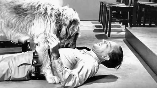 undefined Season 5 Episode 6 - Barney's Bloodhound