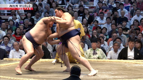 GRAND SUMO Highlights Season 36 Episode 6 - Day 6