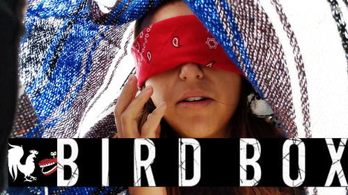 RT Life Season 9 Episode 1 - Bird Box Challenge