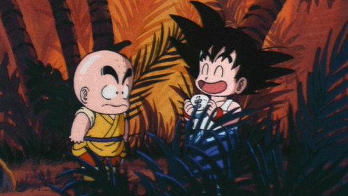 Dragon Ball Season 1 Episode 16 - Find That Stone!