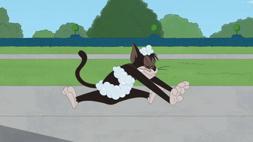 The Tom and Jerry Show Season 2 Episode 30 - Flea Bitten