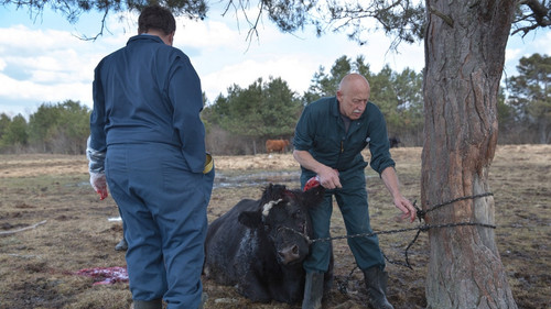 The Incredible Dr. Pol Season 7 Episode 2 - Back to the Suture