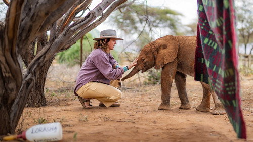 Becoming Elephant: The Orphans Of Reteti Season 1 Episode 1 - First Steps