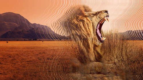 Secret World of Sound Season 1 Episode 1 - Hunters and Hunted