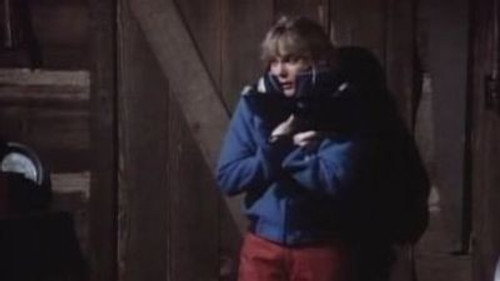 Newhart Season 2 Episode 7 - Lady & the Tramps