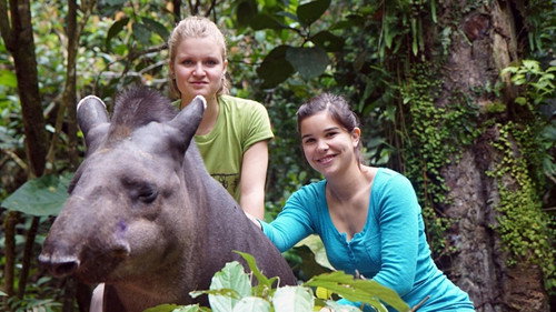 Anna und die wilden Tiere Season 1 Episode 15 - Episode 15
