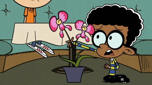 The Orchid Grief still