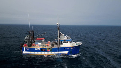East Harbour Heroes Season 2 Episode 10 - In Full Swing