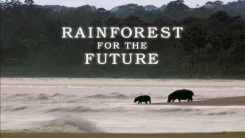 Natural World Season 26 Episode 10 - Gabon - Forests of the Future