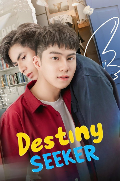 Destiny Seeker poster