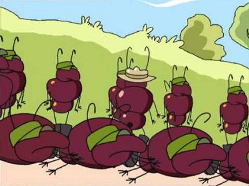 The Ants still