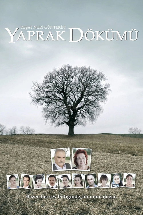 Falling Leaves poster