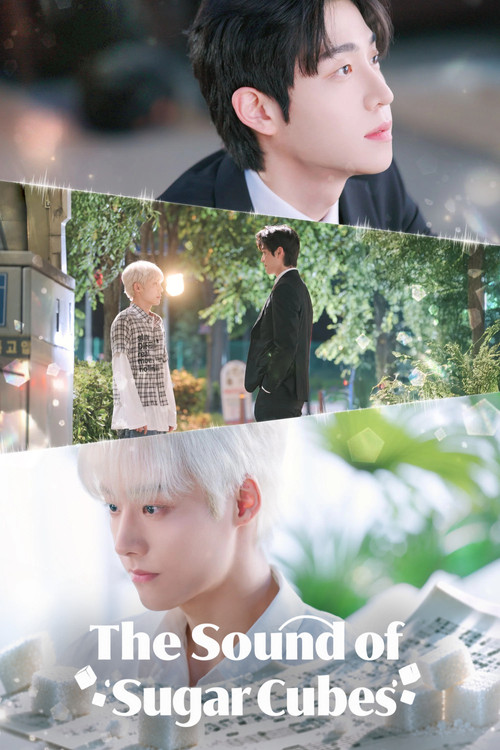 The Sound of Sugar Cubes poster