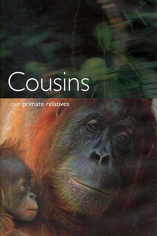 Cousins poster