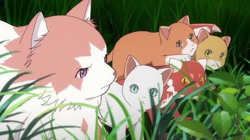 The Cat and the Dragon Season 1 Episode 1 - The Cat and the Dragon