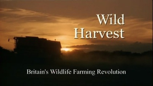 Natural World Season 24 Episode 9 - Wild Harvest