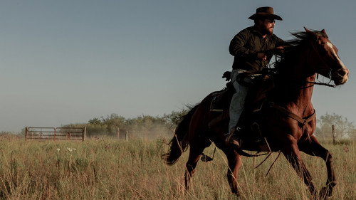 Dutton Ranch Season 1 Episode 3 - Act of God Business