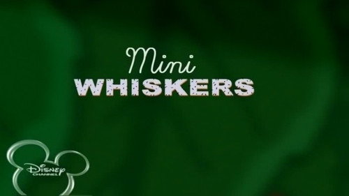 Mini Whiskers still