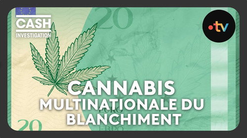 Cash Investigation Season 8 Episode 2 - Cannabis, the multinational laundering company