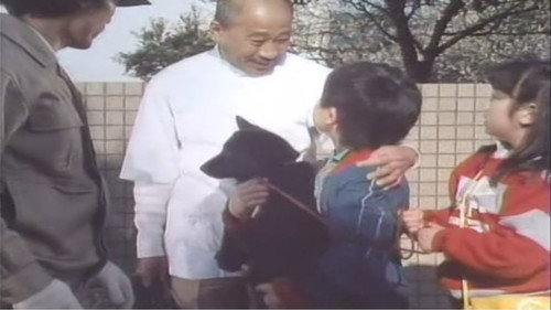 undefined Season 1 Episode 9 - The Puppy Became a Cat