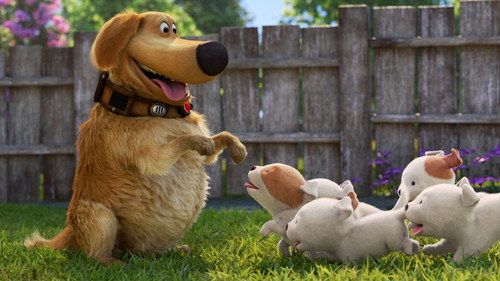 Dug Days Season 1 Episode 2 - Puppies