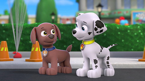 undefined Season 1 Episode 42 - Pups Great Race