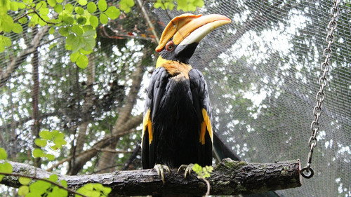 Secrets of the Zoo: Tampa Season 4 Episode 5 - Oh, the Zoomanity!