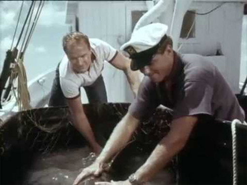 Flipper Season 2 Episode 16 - Flipper's Odyssey (1)