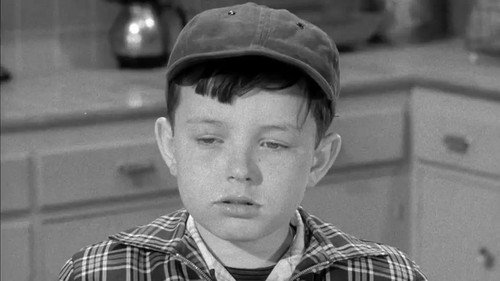 Leave It to Beaver Season 1 Episode 28 - Next Door Indians